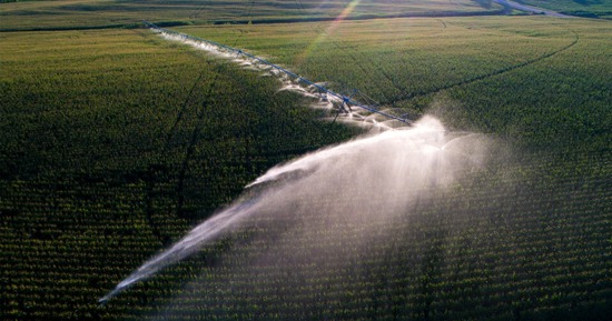 Yield losses intensify when groundwater dwindles, data shows