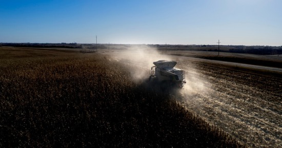 Justin Korver harvests corn in southeast Lancaster County in November 2023. Total farm receipts in Nebraska are projected to increase $731 million, to $33.37 billion, in 2025. (Craig Chandler/University Communication and Marketing)