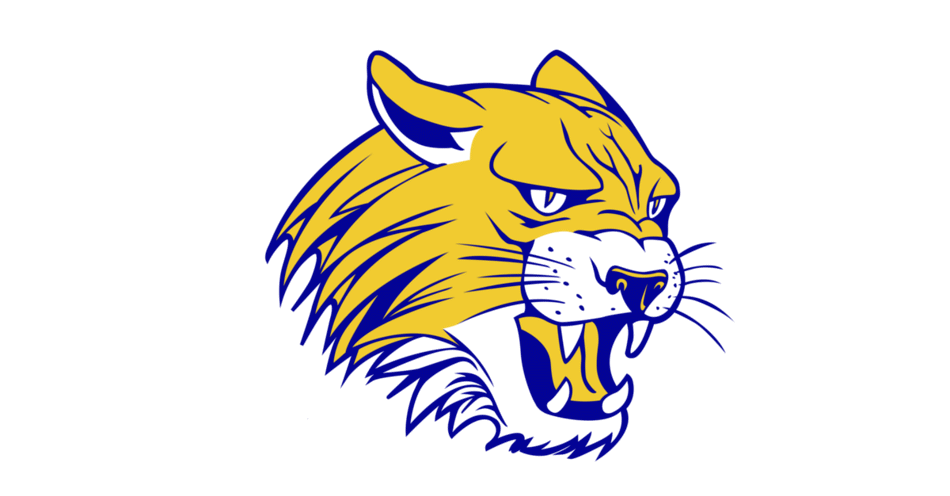 St Paul Wildcats Logo 