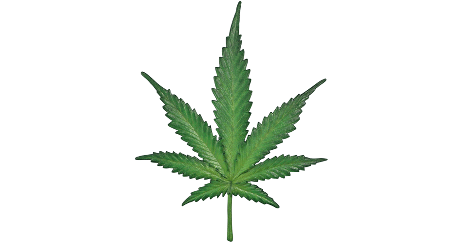 Mariajuna Leaf